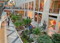 Fruehling In Der Goethe Galerie Jena 000018